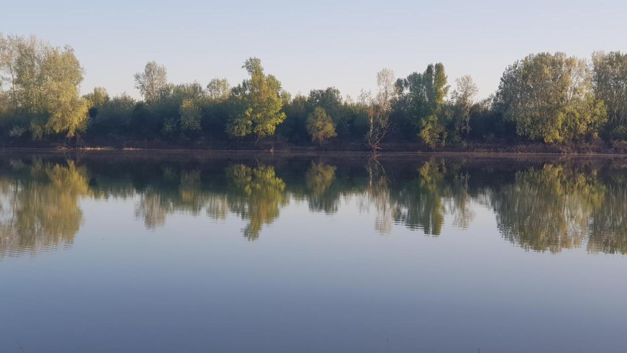 فيلا Vila Sava Jarak المظهر الخارجي الصورة