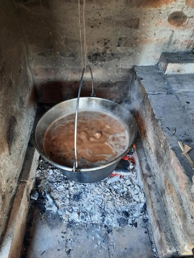 فيلا Vila Sava Jarak المظهر الخارجي الصورة